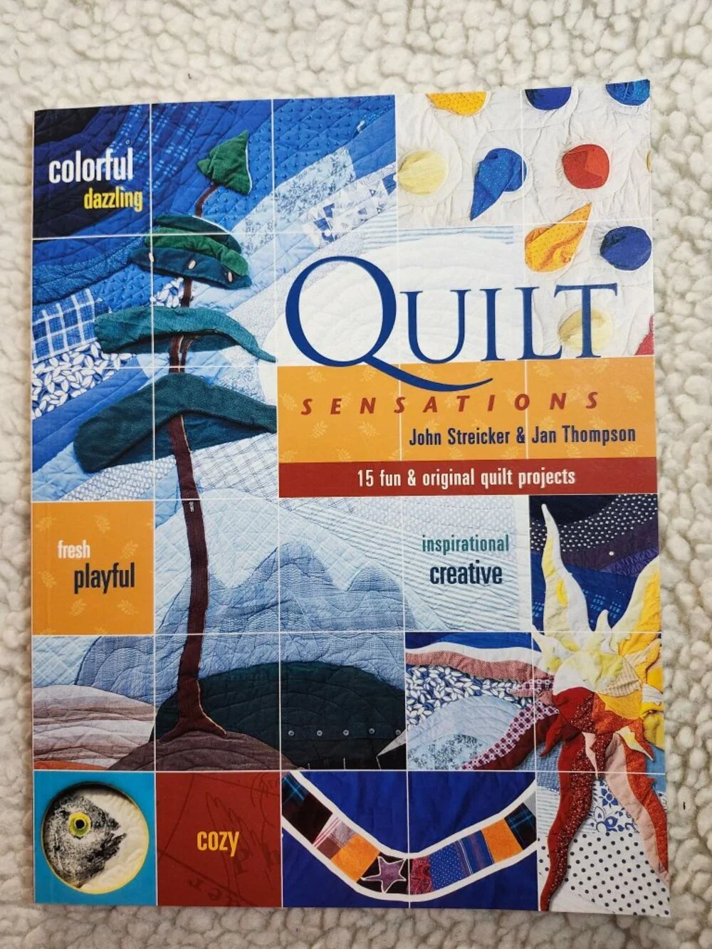 Quilt Sensations John Streicker Jan Thompson Paperback 2000 ISBN 1-55192-254-1 - Picture 1 of 11